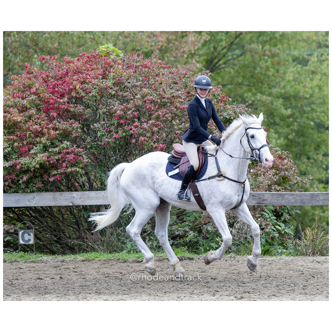 Interscholastic Equestrian Association - Prospect Hill Farm - North Smithfield, RI - September 29, 2024 title=