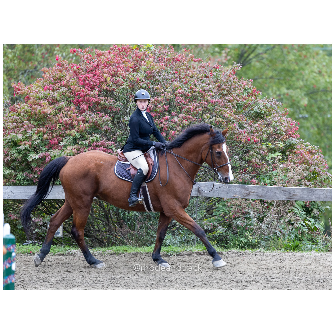 Interscholastic Equestrian Association - Prospect Hill Farm - North Smithfield, RI - September 29, 2024 title=