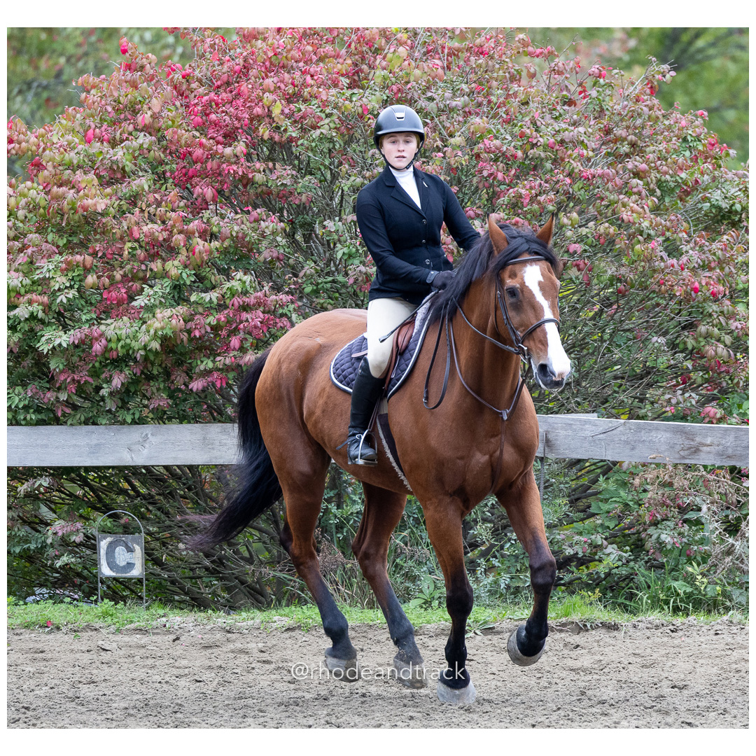 Interscholastic Equestrian Association - Prospect Hill Farm - North Smithfield, RI - September 29, 2024 title=