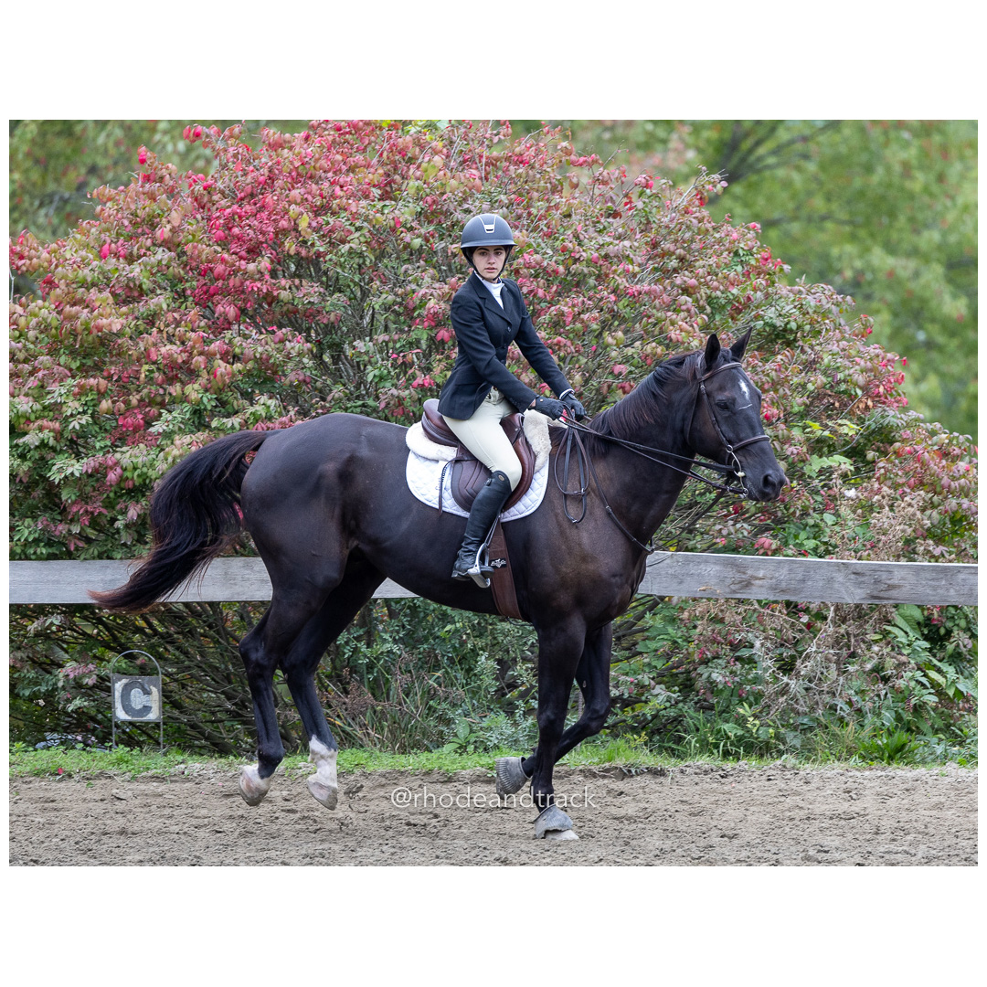 Interscholastic Equestrian Association - Prospect Hill Farm - North Smithfield, RI - September 29, 2024 title=