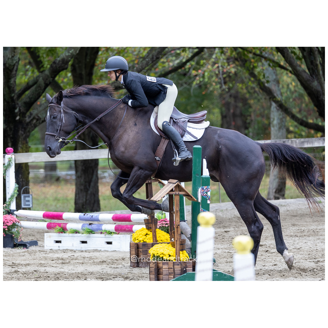 Interscholastic Equestrian Association - Prospect Hill Farm - North Smithfield, RI - September 29, 2024 title=