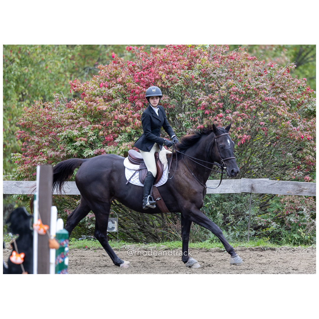 Interscholastic Equestrian Association - Prospect Hill Farm - North Smithfield, RI - September 29, 2024 title=
