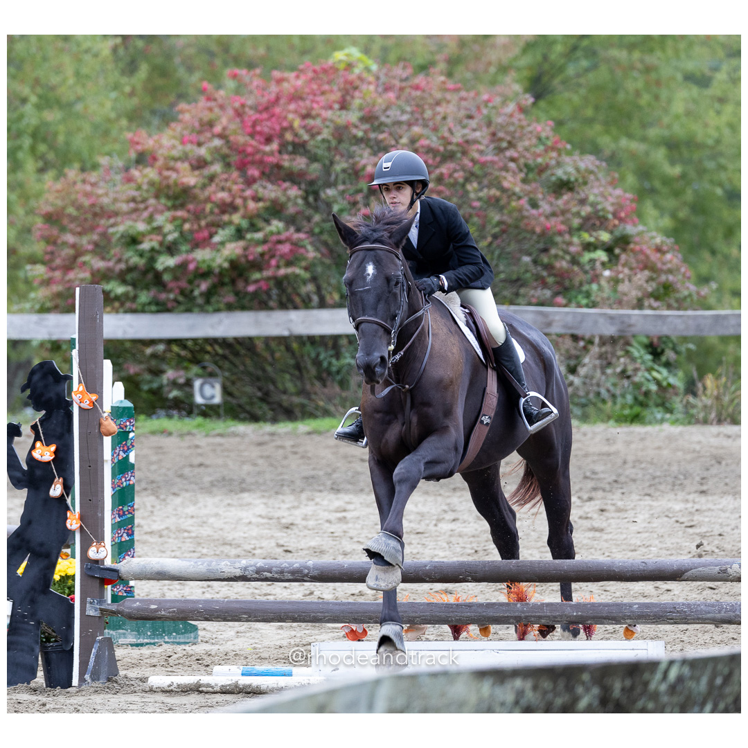 Interscholastic Equestrian Association - Prospect Hill Farm - North Smithfield, RI - September 29, 2024 title=