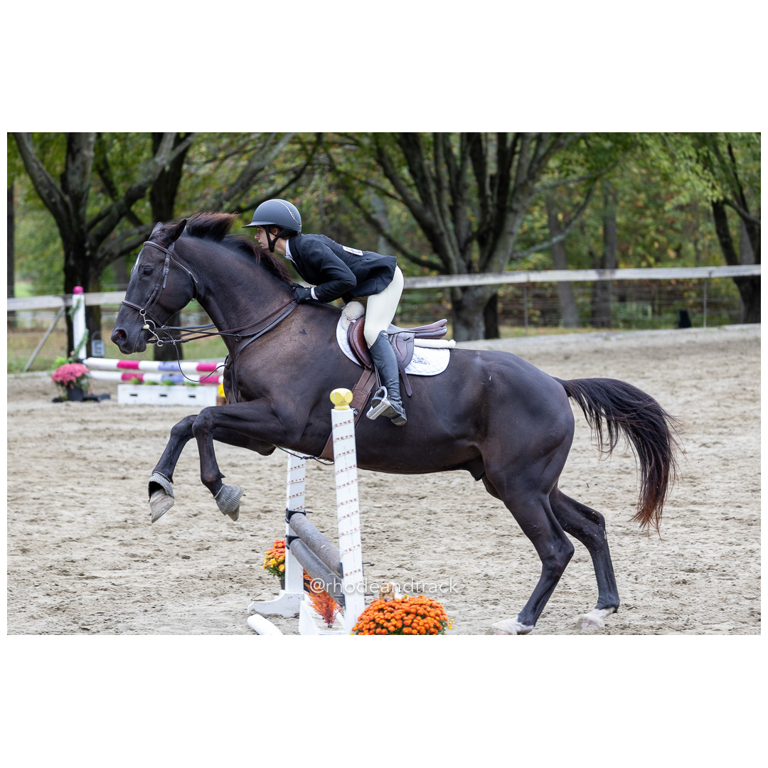 Interscholastic Equestrian Association - Prospect Hill Farm - North Smithfield, RI - September 29, 2024 title=