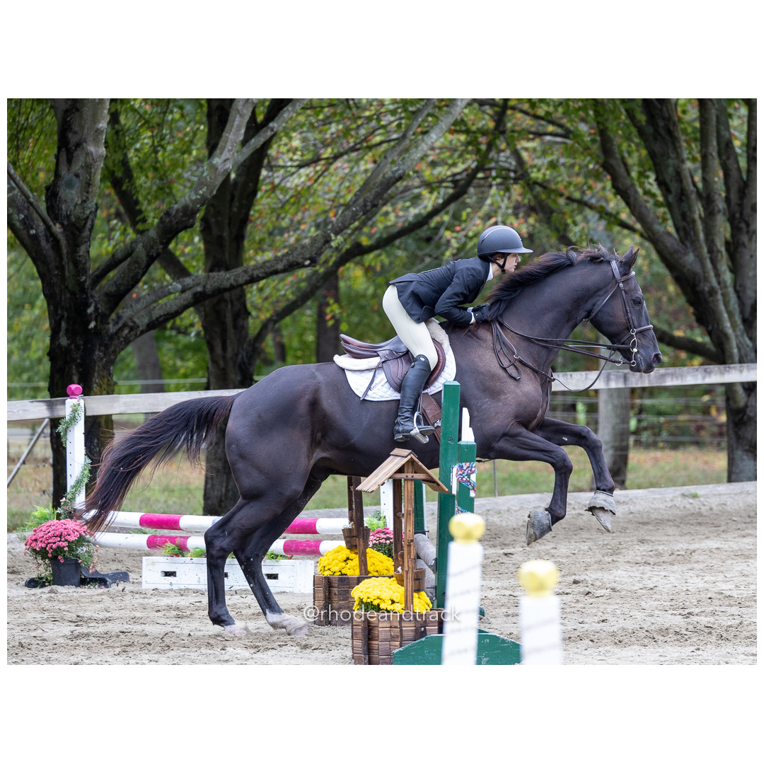 Interscholastic Equestrian Association - Prospect Hill Farm - North Smithfield, RI - September 29, 2024 title=