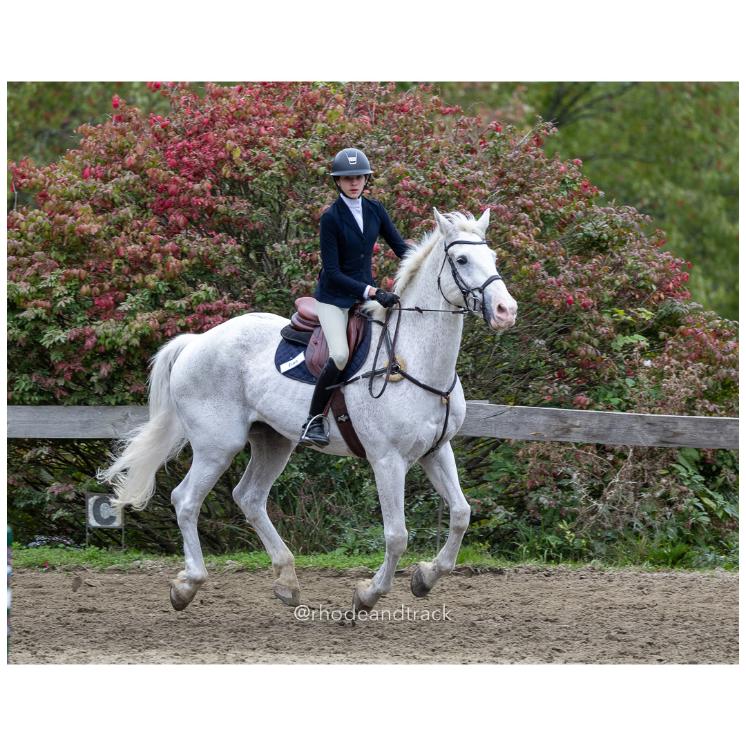 Interscholastic Equestrian Association - Prospect Hill Farm - North Smithfield, RI - September 29, 2024 title=
