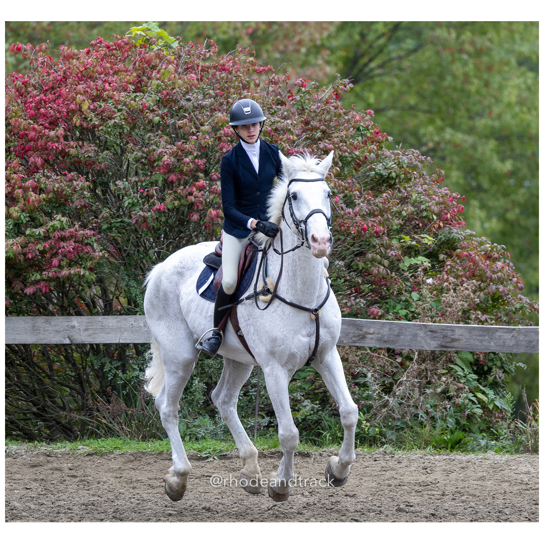 Interscholastic Equestrian Association - Prospect Hill Farm - North Smithfield, RI - September 29, 2024 title=