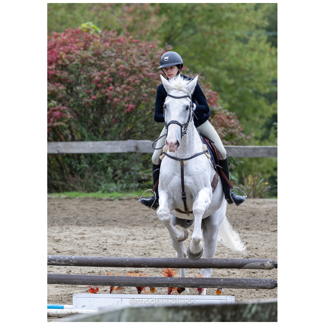 Interscholastic Equestrian Association - Prospect Hill Farm - North Smithfield, RI - September 29, 2024 title=