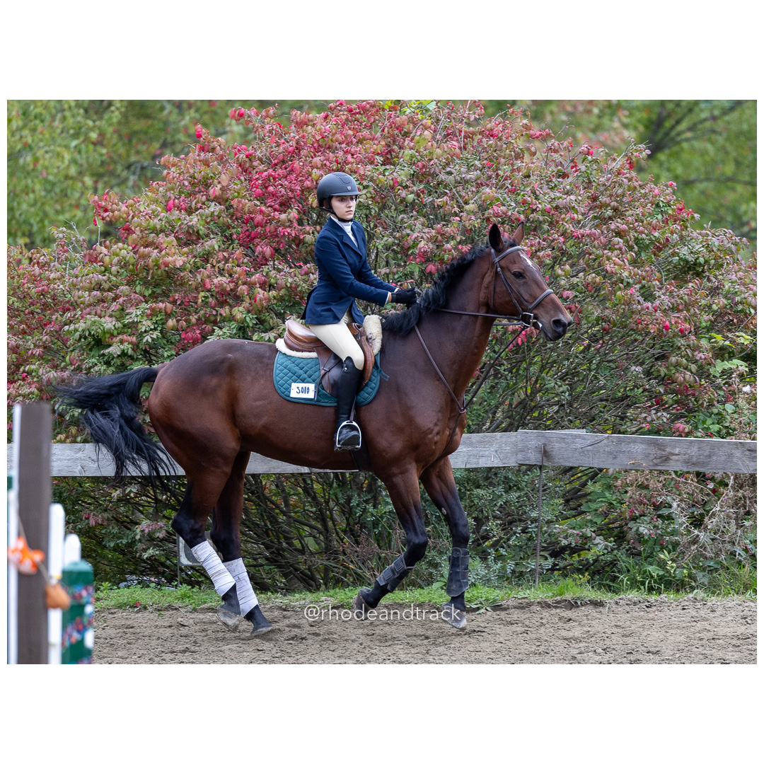 Interscholastic Equestrian Association - Prospect Hill Farm - North Smithfield, RI - September 29, 2024 title=