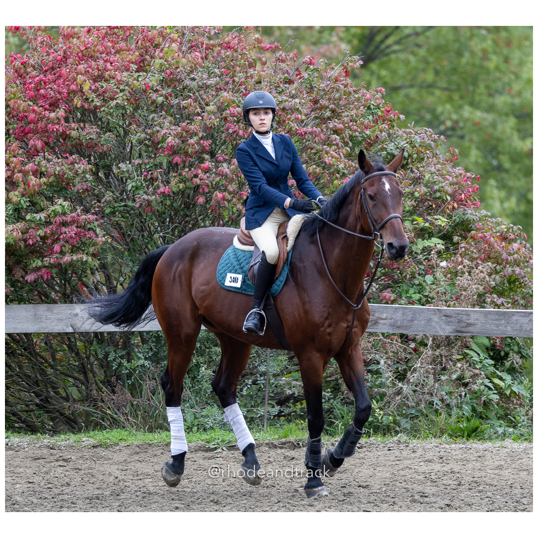 Interscholastic Equestrian Association - Prospect Hill Farm - North Smithfield, RI - September 29, 2024 title=