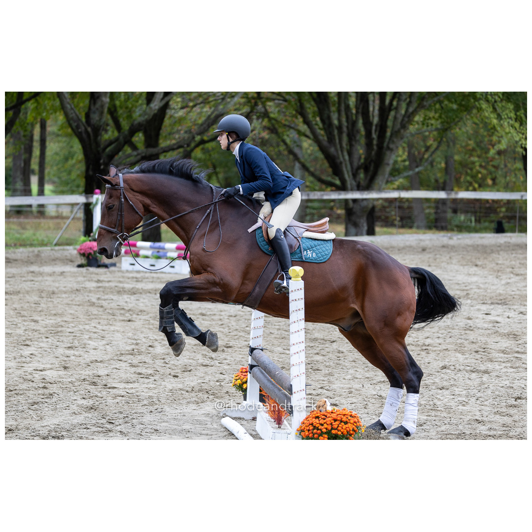 Interscholastic Equestrian Association - Prospect Hill Farm - North Smithfield, RI - September 29, 2024 title=