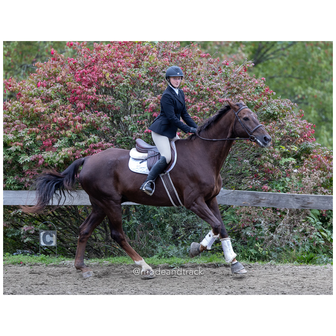 Interscholastic Equestrian Association - Prospect Hill Farm - North Smithfield, RI - September 29, 2024 title=