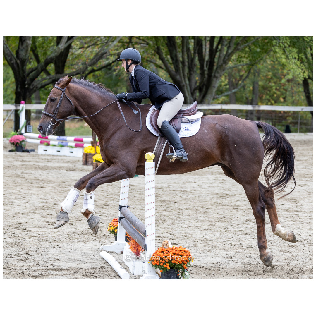 Interscholastic Equestrian Association - Prospect Hill Farm - North Smithfield, RI - September 29, 2024 title=