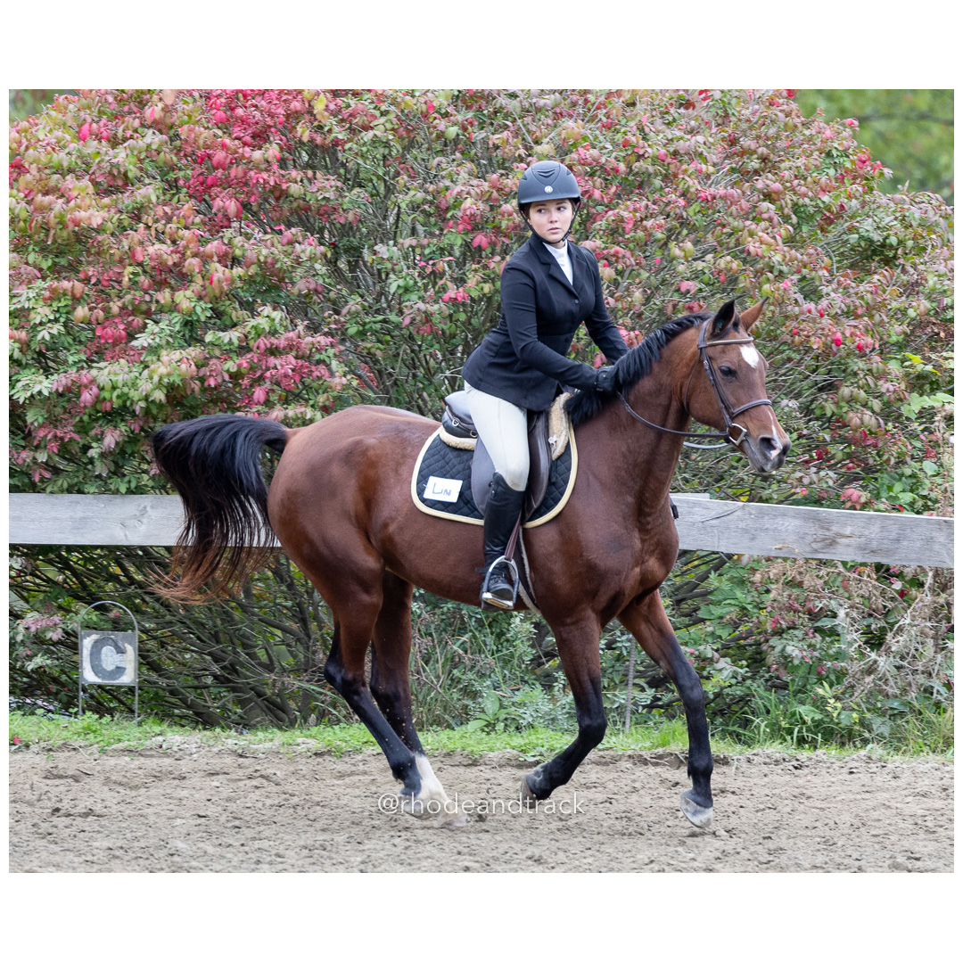 Interscholastic Equestrian Association - Prospect Hill Farm - North Smithfield, RI - September 29, 2024 title=