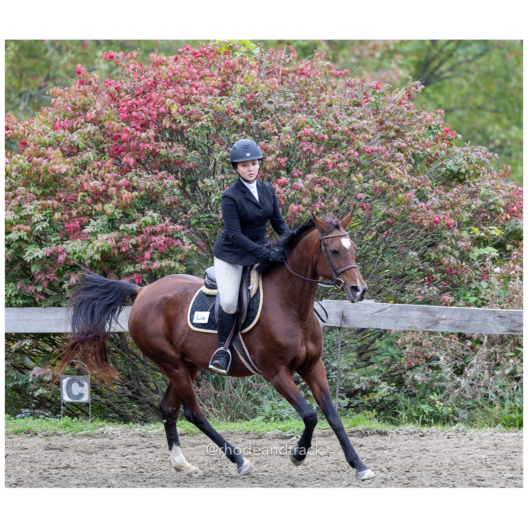 Interscholastic Equestrian Association - Prospect Hill Farm - North Smithfield, RI - September 29, 2024 title=