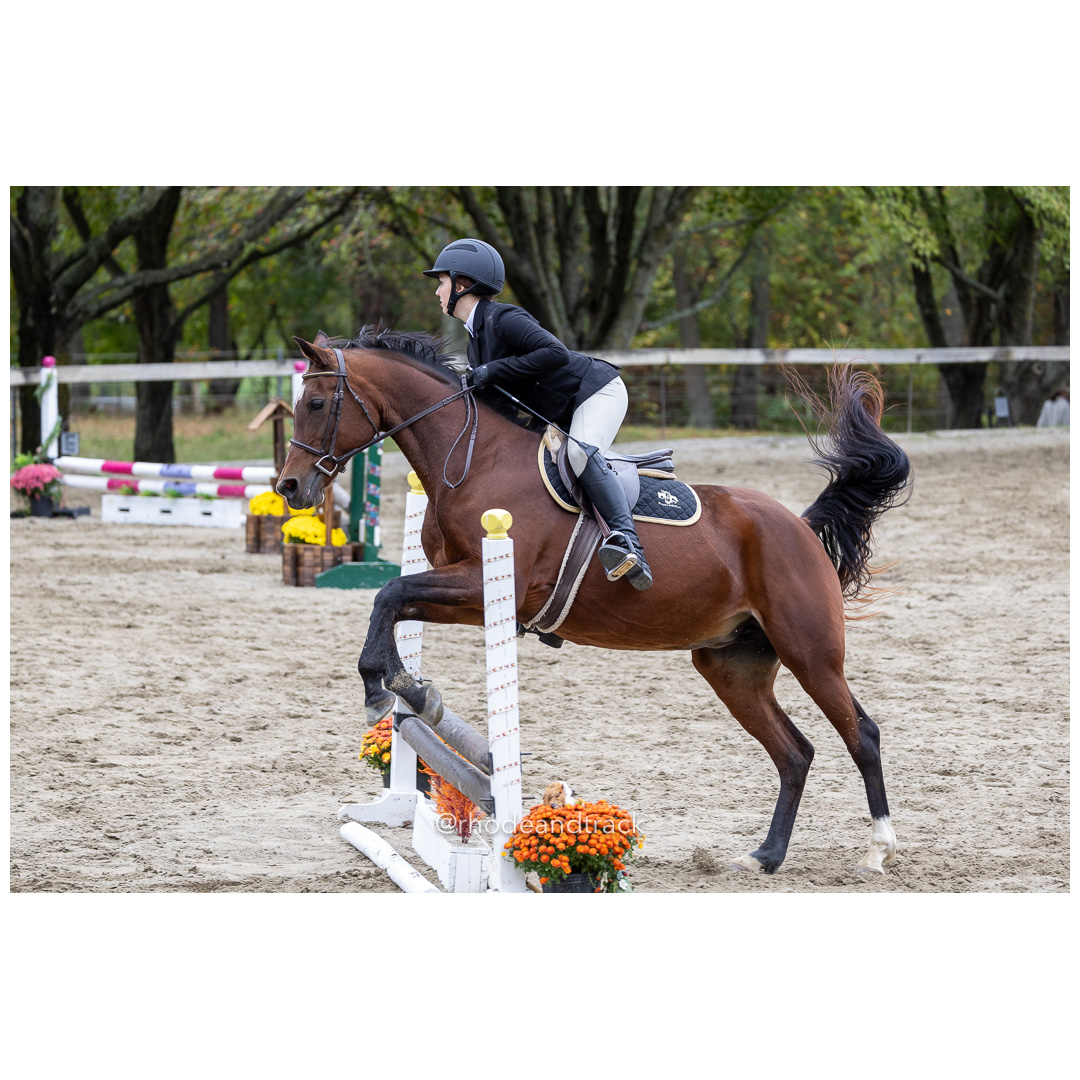 Interscholastic Equestrian Association - Prospect Hill Farm - North Smithfield, RI - September 29, 2024 title=