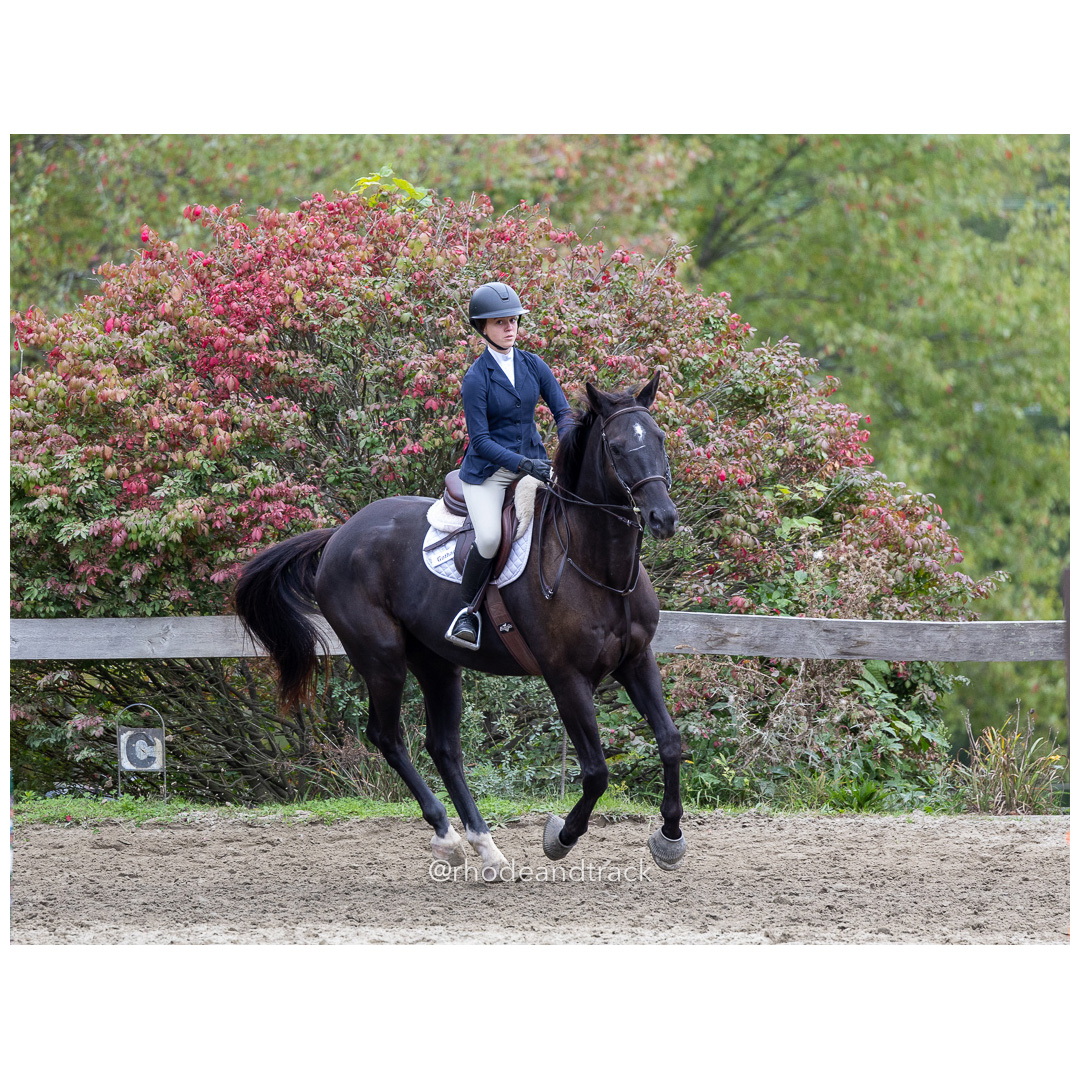 Interscholastic Equestrian Association - Prospect Hill Farm - North Smithfield, RI - September 29, 2024 title=