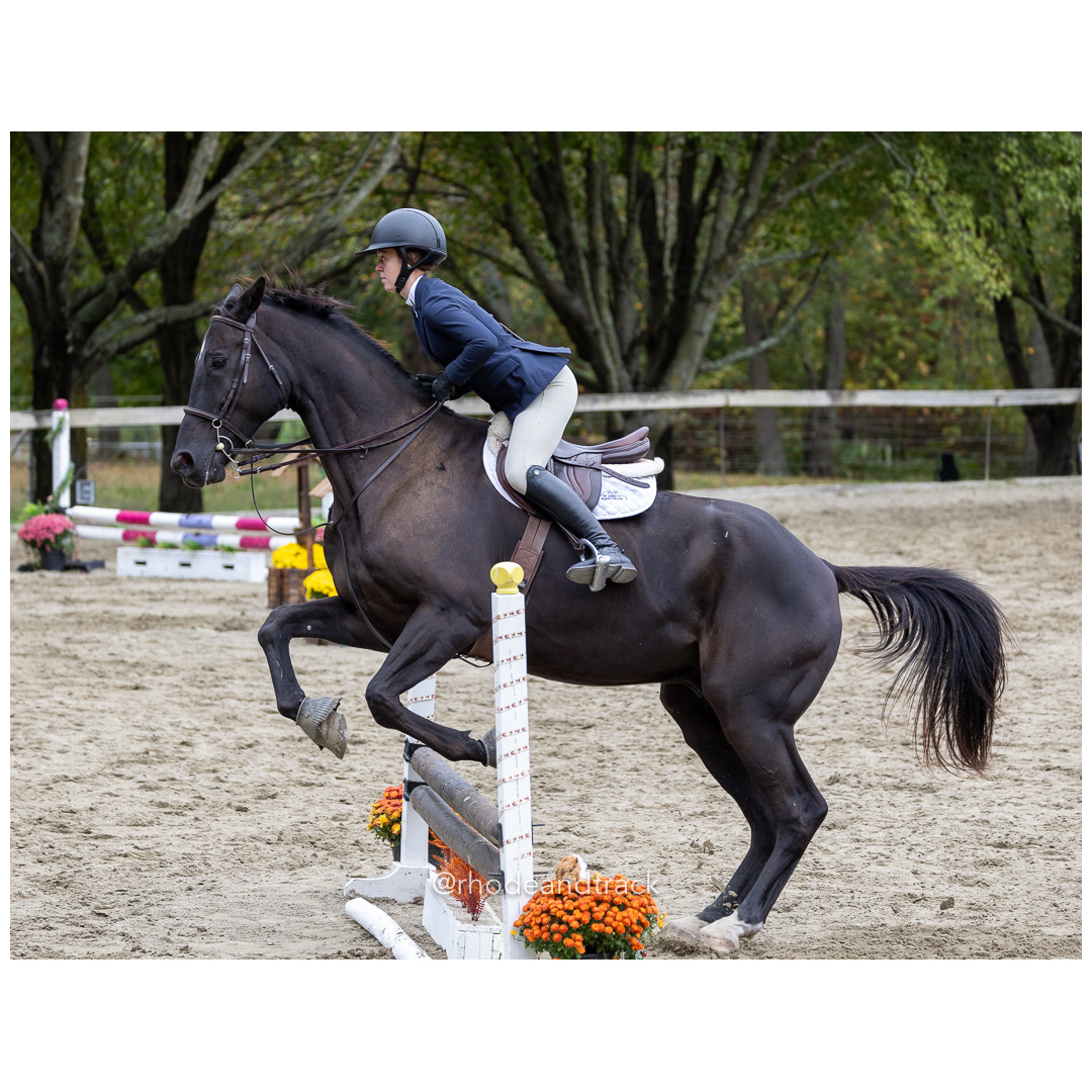Interscholastic Equestrian Association - Prospect Hill Farm - North Smithfield, RI - September 29, 2024 title=