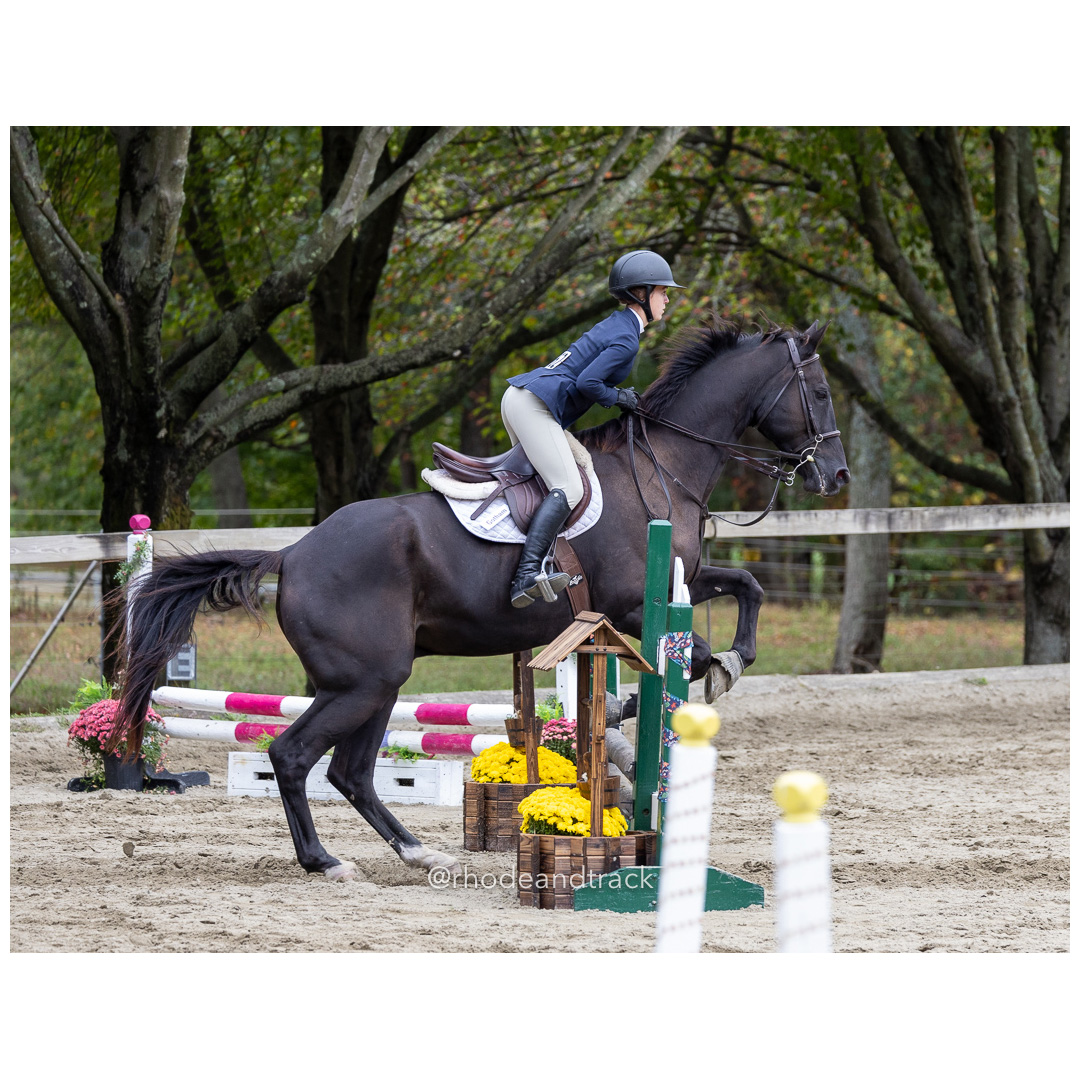 Interscholastic Equestrian Association - Prospect Hill Farm - North Smithfield, RI - September 29, 2024 title=
