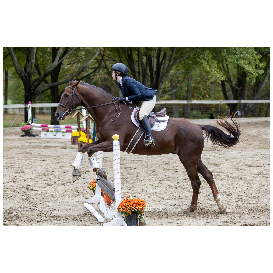 Interscholastic Equestrian Association - Prospect Hill Farm - North Smithfield, RI - September 29, 2024 title=