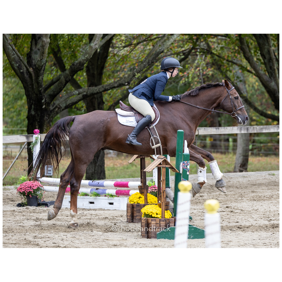 Interscholastic Equestrian Association - Prospect Hill Farm - North Smithfield, RI - September 29, 2024 title=