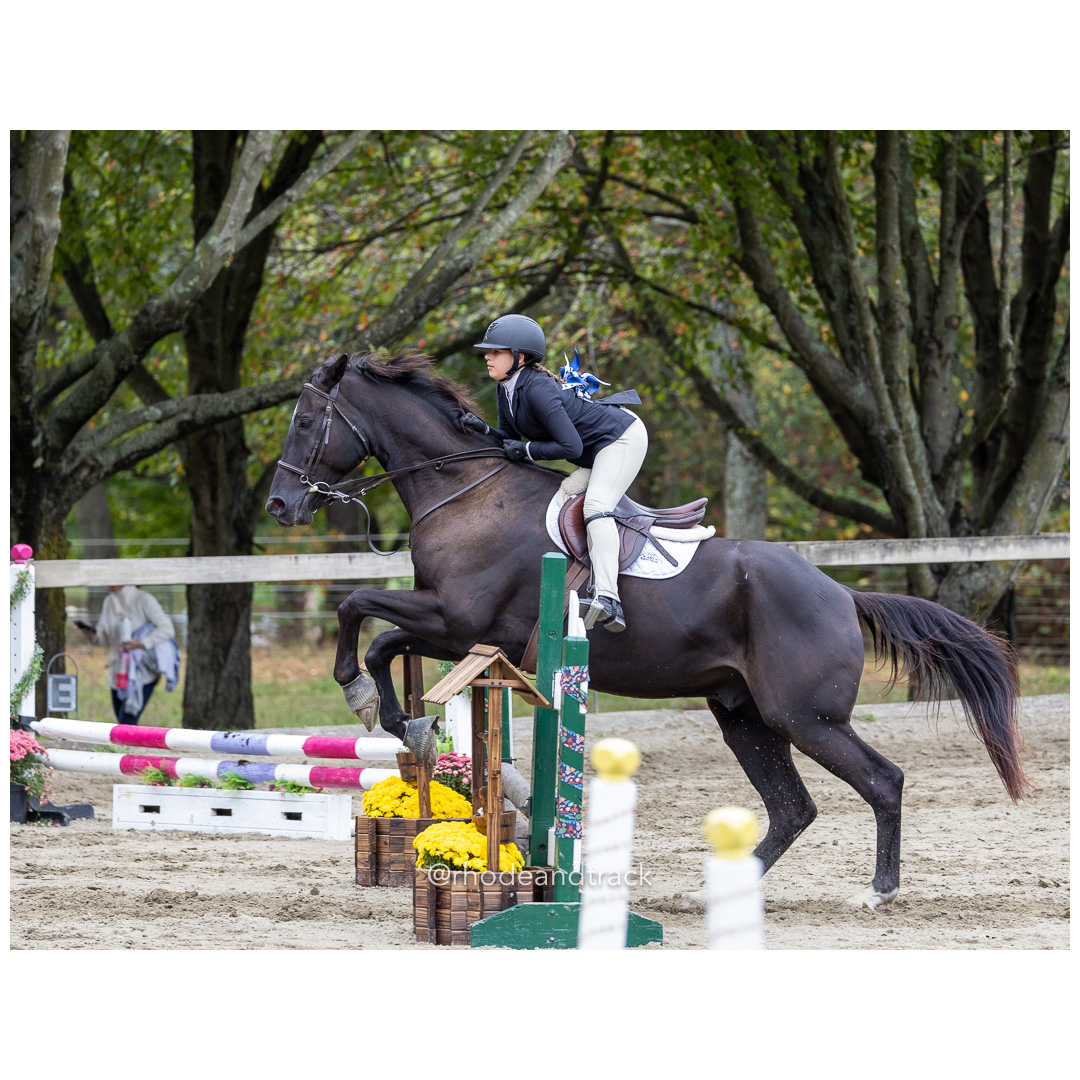 Interscholastic Equestrian Association - Prospect Hill Farm - North Smithfield, RI - September 29, 2024 title=