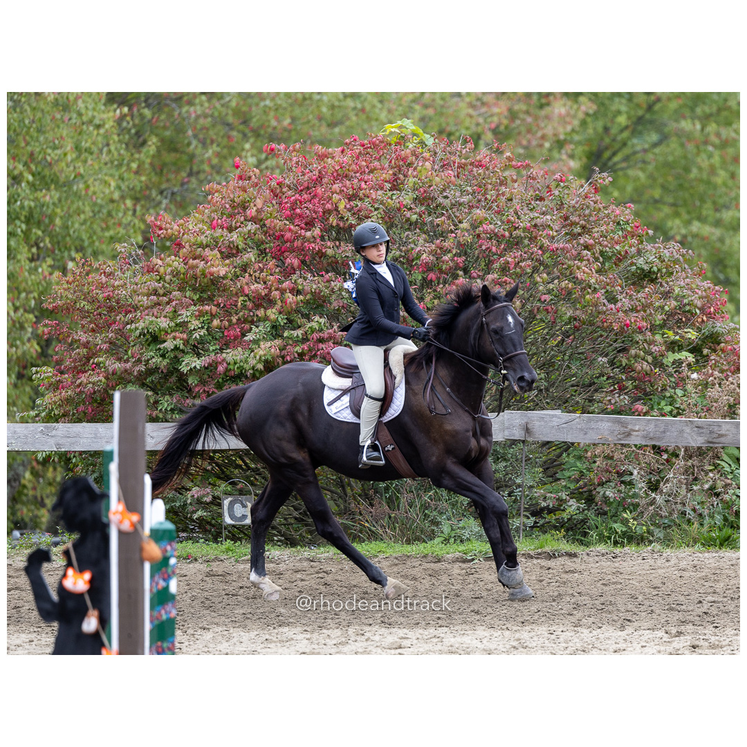 Interscholastic Equestrian Association - Prospect Hill Farm - North Smithfield, RI - September 29, 2024 title=