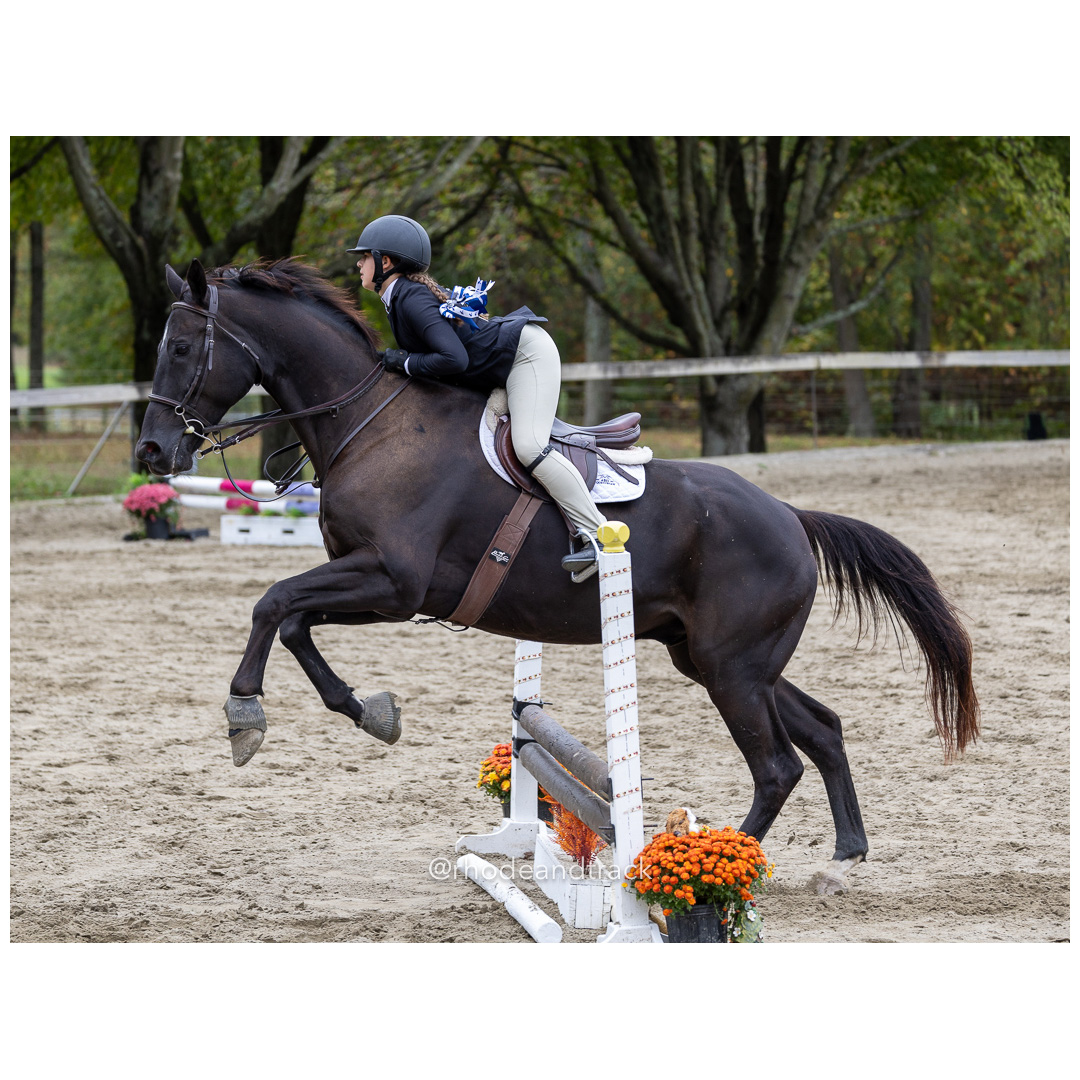Interscholastic Equestrian Association - Prospect Hill Farm - North Smithfield, RI - September 29, 2024 title=