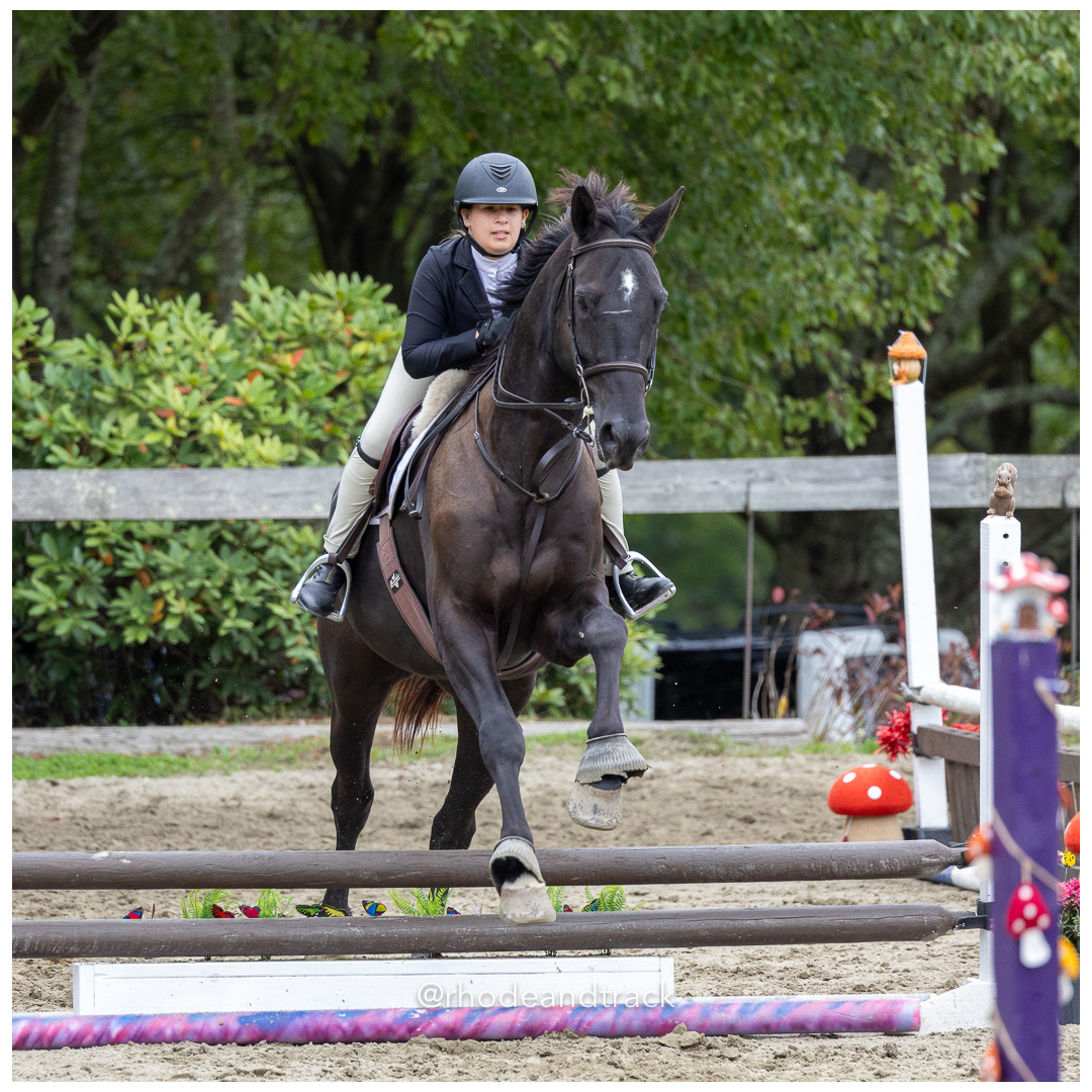 Interscholastic Equestrian Association - Prospect Hill Farm - North Smithfield, RI - September 29, 2024 title=