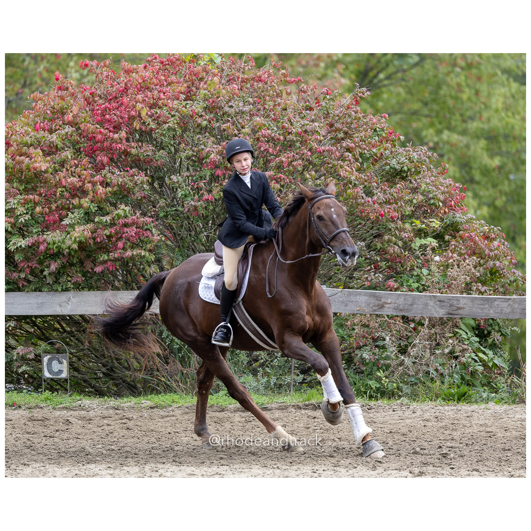 Interscholastic Equestrian Association - Prospect Hill Farm - North Smithfield, RI - September 29, 2024 title=