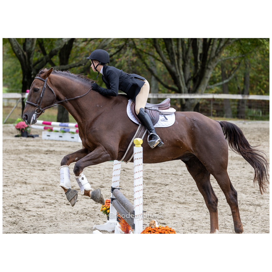 Interscholastic Equestrian Association - Prospect Hill Farm - North Smithfield, RI - September 29, 2024 title=