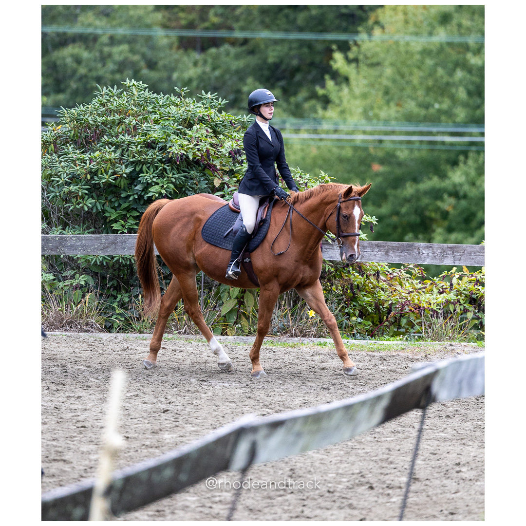 Interscholastic Equestrian Association - Prospect Hill Farm - North Smithfield, RI - September 29, 2024 title=