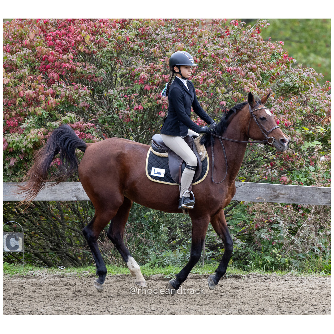 Interscholastic Equestrian Association - Prospect Hill Farm - North Smithfield, RI - September 29, 2024 title=