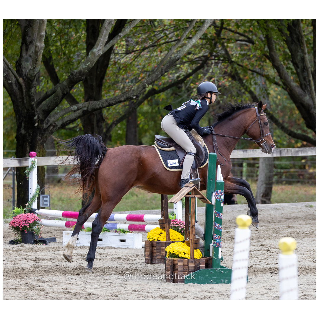 Interscholastic Equestrian Association - Prospect Hill Farm - North Smithfield, RI - September 29, 2024 title=