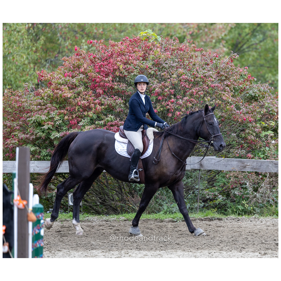 Interscholastic Equestrian Association - Prospect Hill Farm - North Smithfield, RI - September 29, 2024 title=