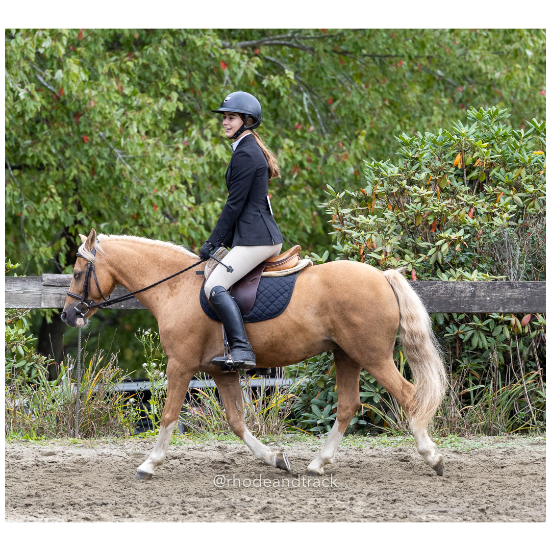 Interscholastic Equestrian Association - Prospect Hill Farm - North Smithfield, RI - September 29, 2024 title=