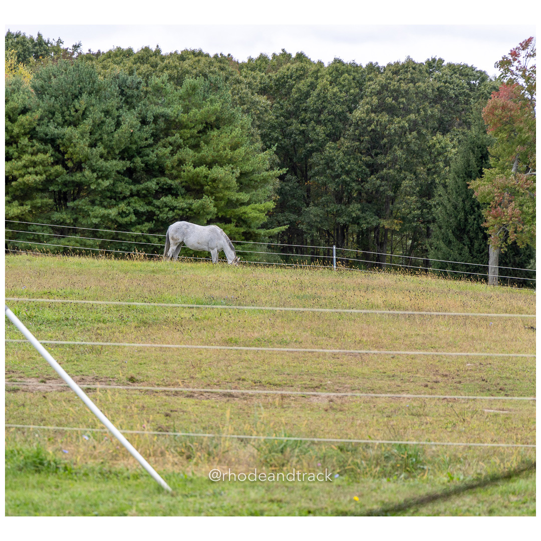 Interscholastic Equestrian Association - Prospect Hill Farm - North Smithfield, RI - September 29, 2024 title=