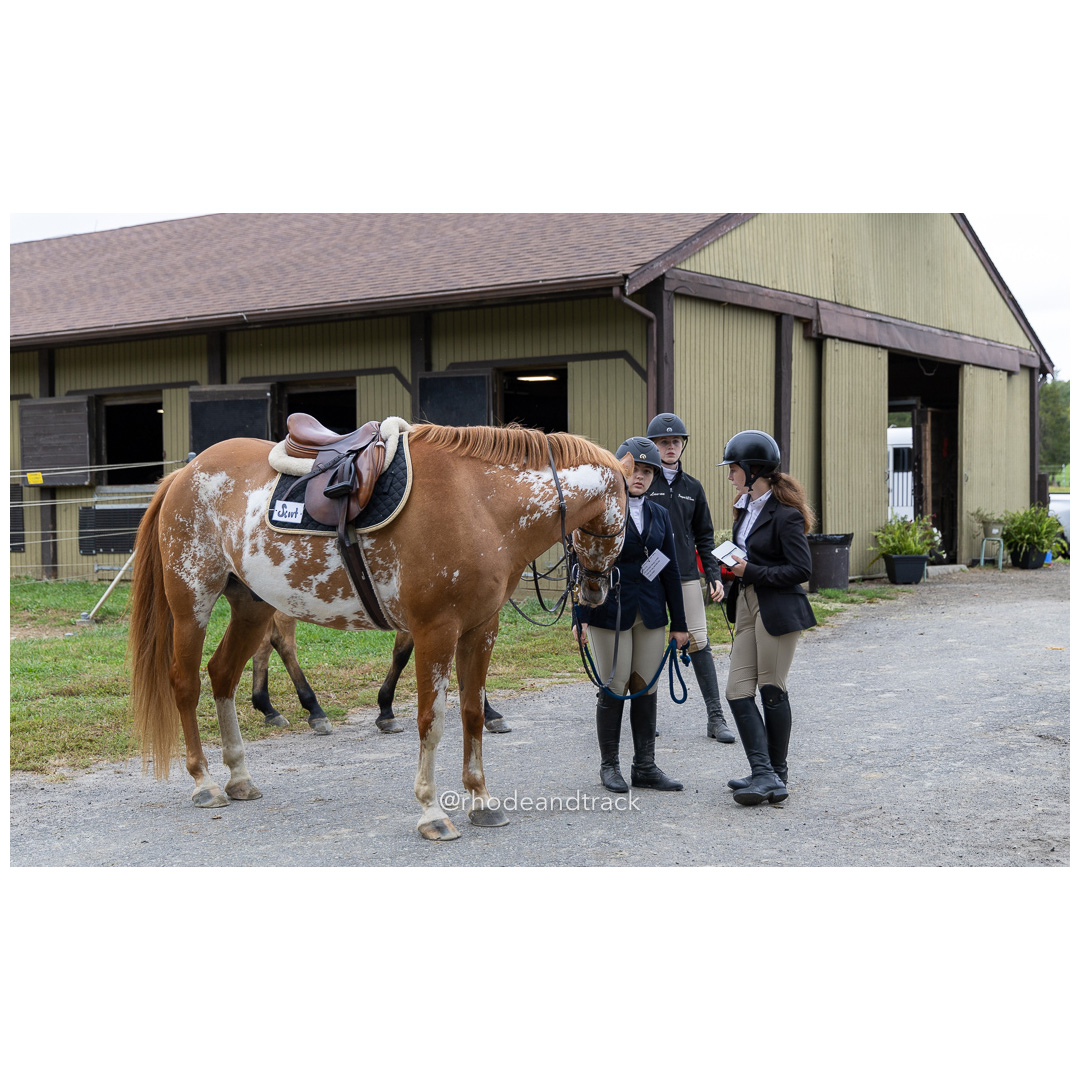 Interscholastic Equestrian Association - Prospect Hill Farm - North Smithfield, RI - September 29, 2024 title=