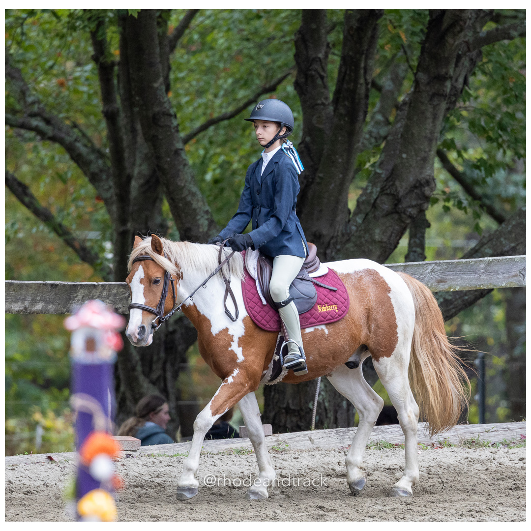 Interscholastic Equestrian Association - Prospect Hill Farm - North Smithfield, RI - September 29, 2024 title=