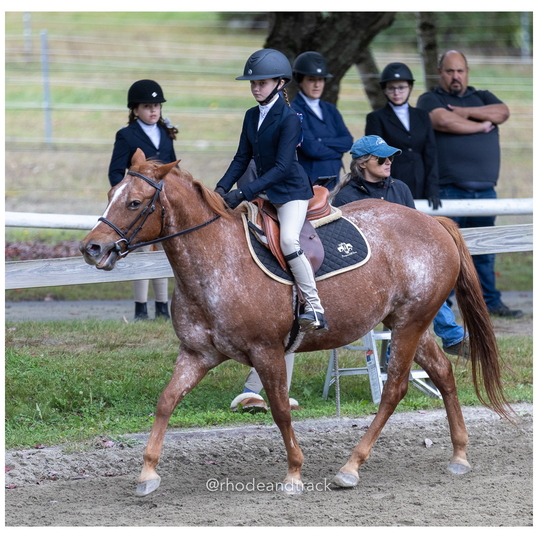 Interscholastic Equestrian Association - Prospect Hill Farm - North Smithfield, RI - September 29, 2024 title=