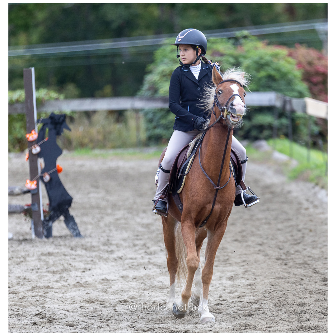 Interscholastic Equestrian Association - Prospect Hill Farm - North Smithfield, RI - September 29, 2024 title=