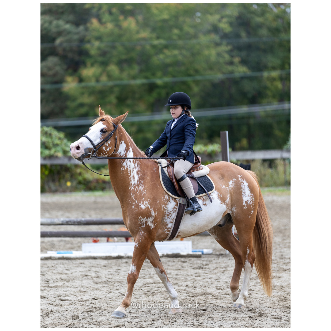 Interscholastic Equestrian Association - Prospect Hill Farm - North Smithfield, RI - September 29, 2024 title=