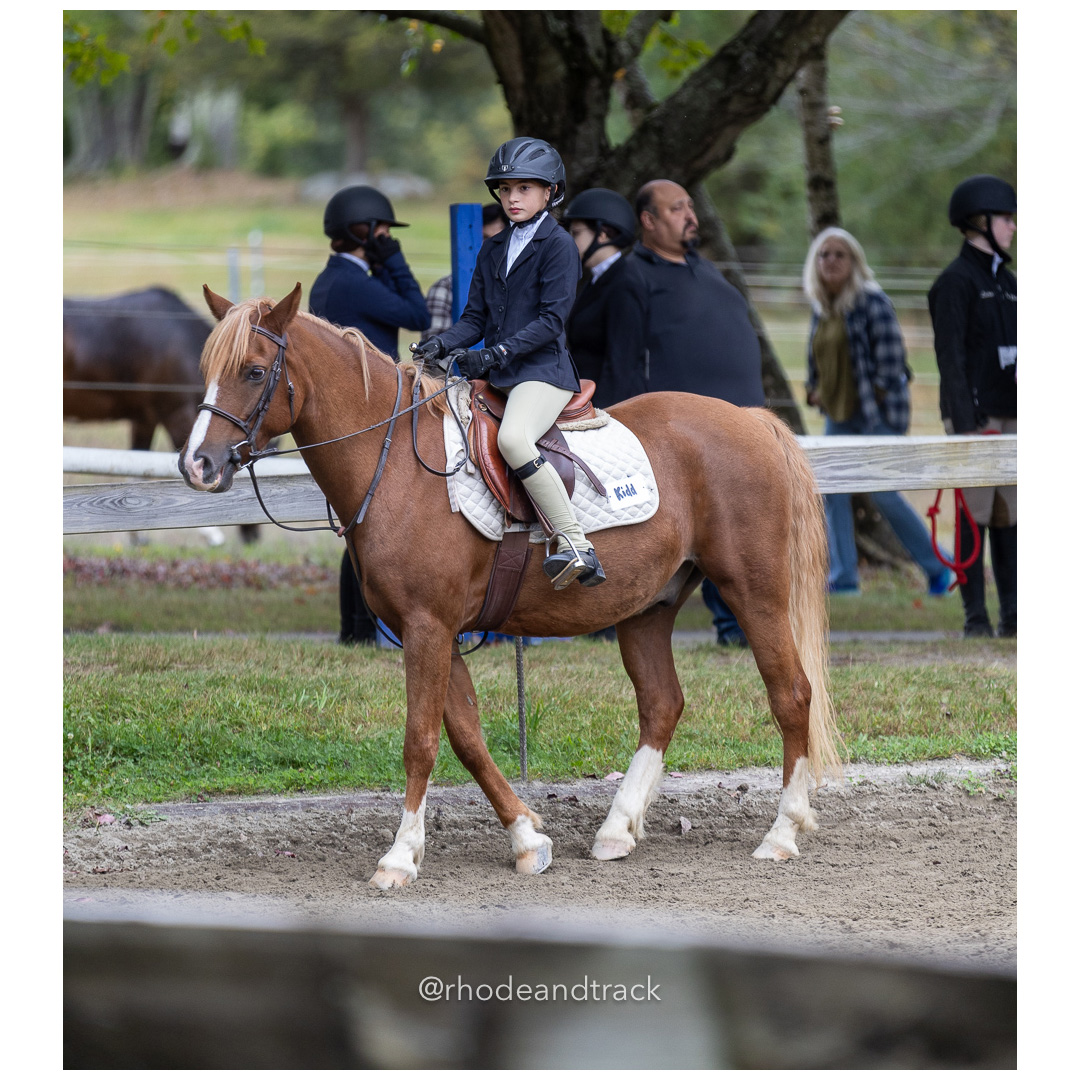 Interscholastic Equestrian Association - Prospect Hill Farm - North Smithfield, RI - September 29, 2024 title=