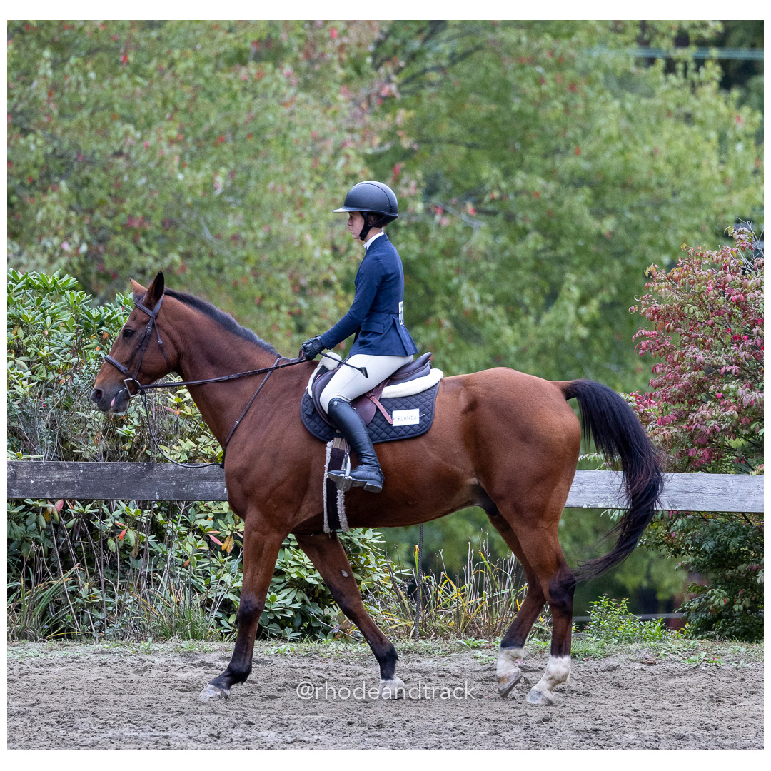 Interscholastic Equestrian Association - Prospect Hill Farm - North Smithfield, RI - September 29, 2024 title=