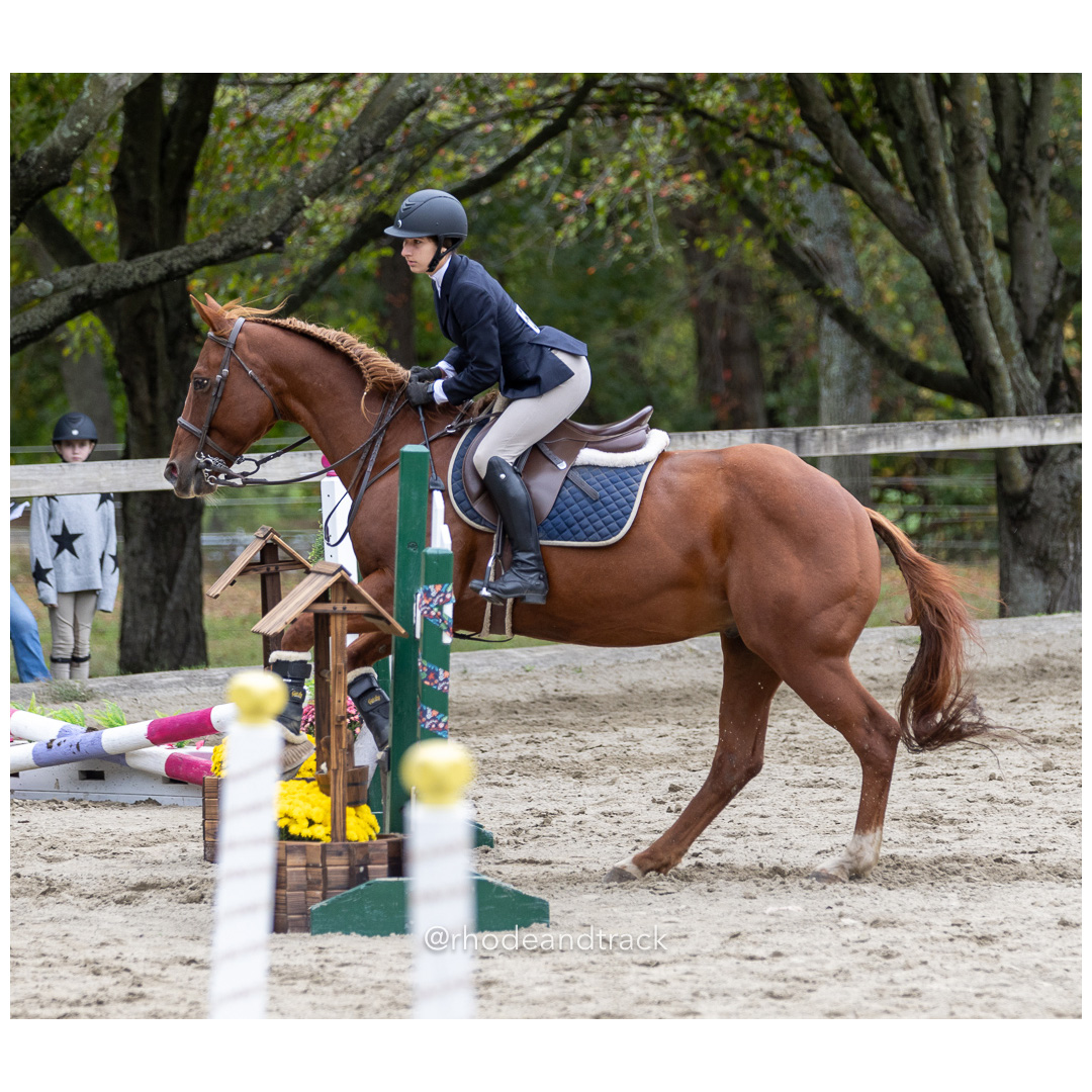 Interscholastic Equestrian Association - Prospect Hill Farm - North Smithfield, RI - September 29, 2024 title=
