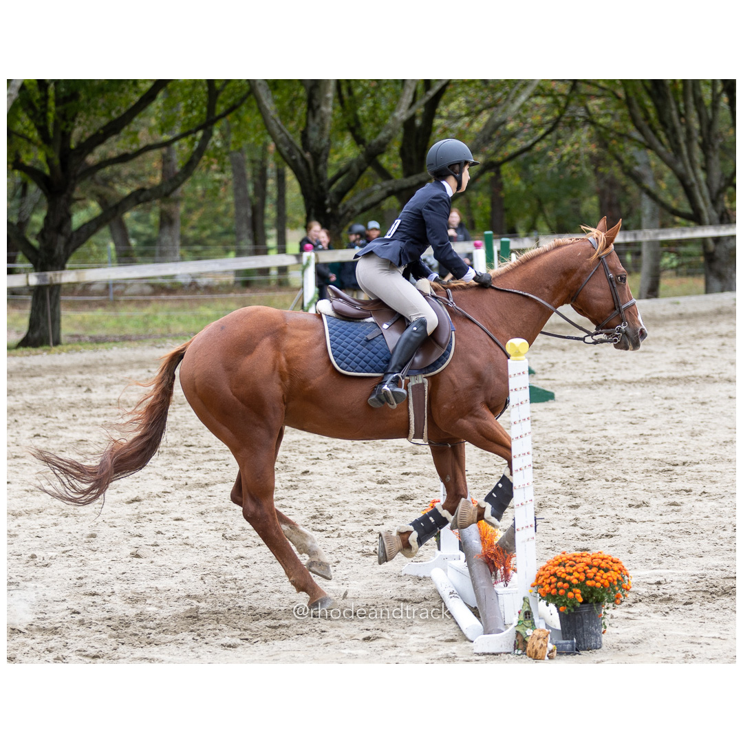 Interscholastic Equestrian Association - Prospect Hill Farm - North Smithfield, RI - September 29, 2024 title=