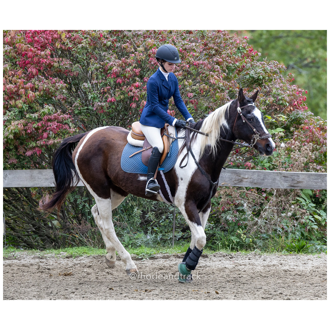 Interscholastic Equestrian Association - Prospect Hill Farm - North Smithfield, RI - September 29, 2024 title=
