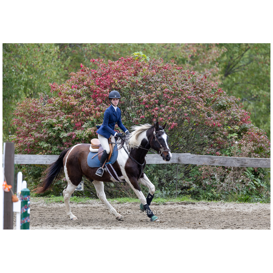 Interscholastic Equestrian Association - Prospect Hill Farm - North Smithfield, RI - September 29, 2024 title=