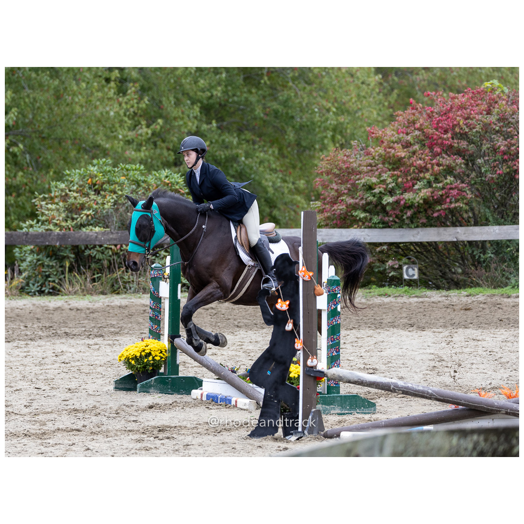 Interscholastic Equestrian Association - Prospect Hill Farm - North Smithfield, RI - September 29, 2024 title=