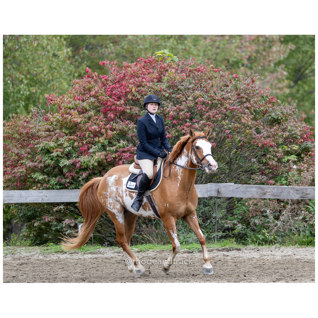 Interscholastic Equestrian Association - Prospect Hill Farm - North Smithfield, RI - September 29, 2024 title=